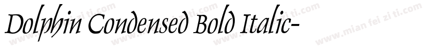 Dolphin Condensed Bold Italic字体转换
